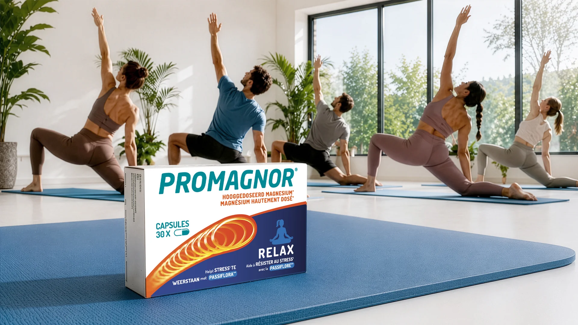 Promagnor Premium Range